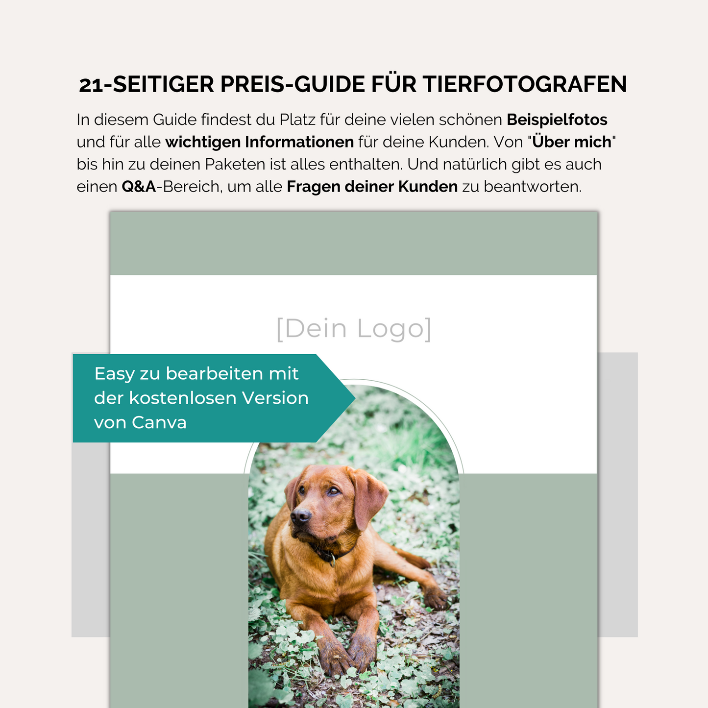 21-seitiger Preis-Guide für Tierfotografen